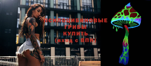 метадон Богородицк